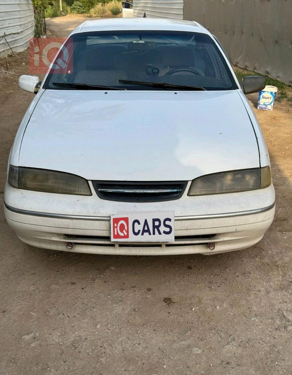 دايو برنس